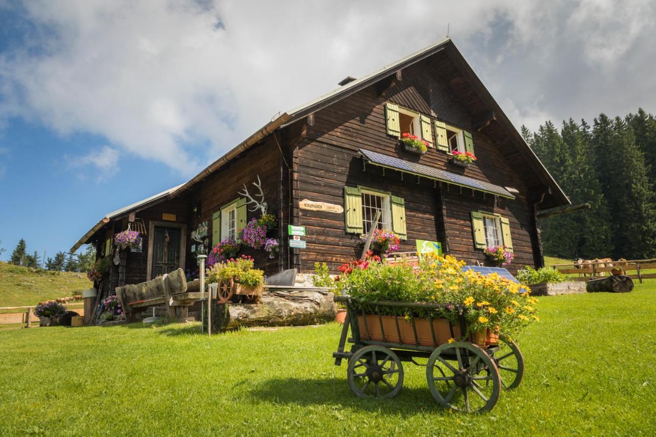 Ferienhof Schelchen Hollenstein an der Ybbs Exterior foto